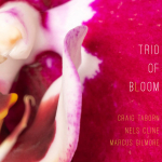 ⚡트리오 오브 블룸 Trio of Bloom (Feat. Nels Cline, Craig Taborn, Marcus Gilmore)  [Trio of Bloom]  Pyroclastic/2025